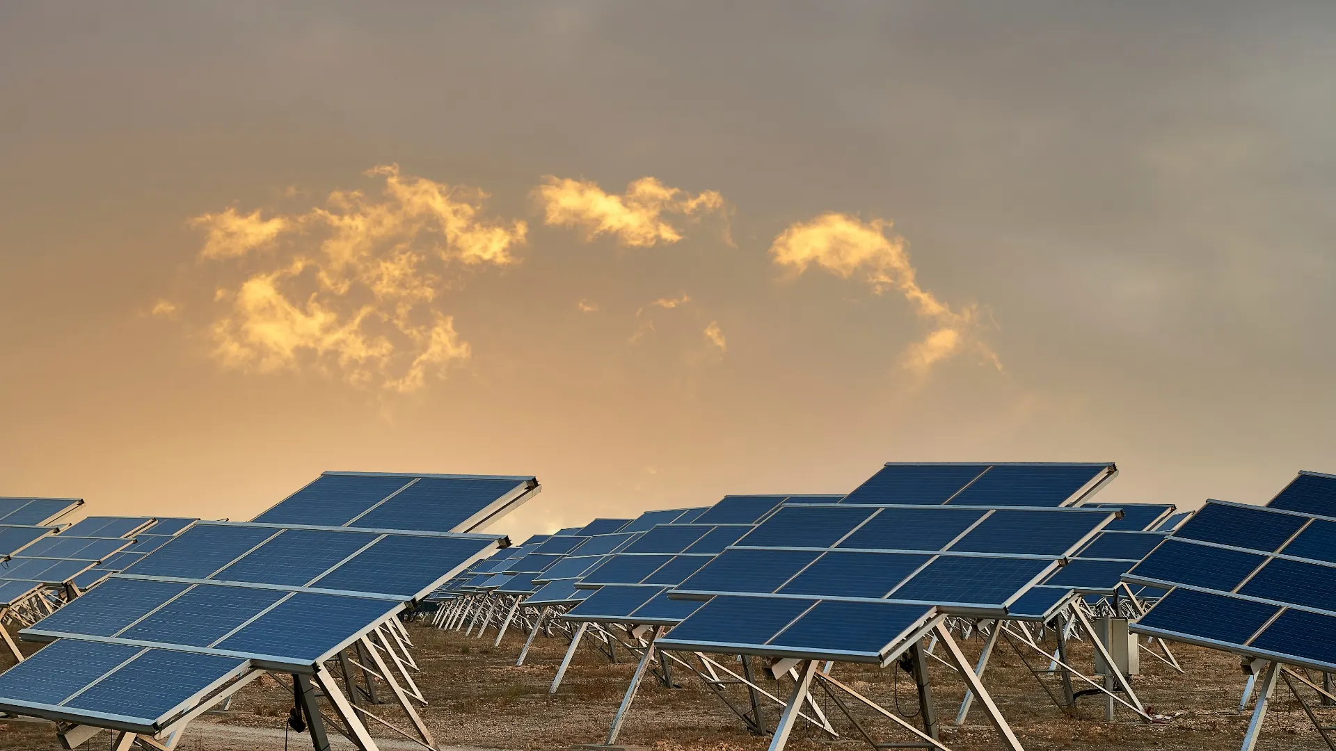 Planta fotovoltaica al atardecer